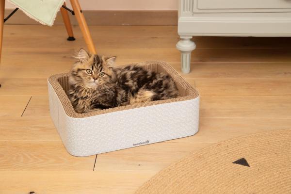 beeztees Kratzkorb Kero 2 in 1 - Kratzpappe und Katzenbett